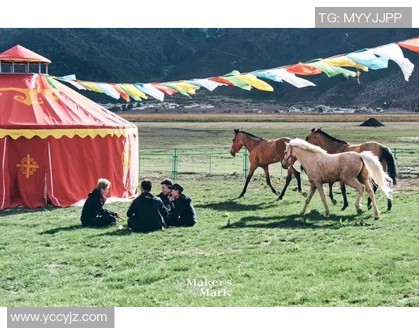 足球球星携手拜年活动回顾及影响分析 从2010年到 足球球星携手拜年活动回顾及影响分析 从2010年到