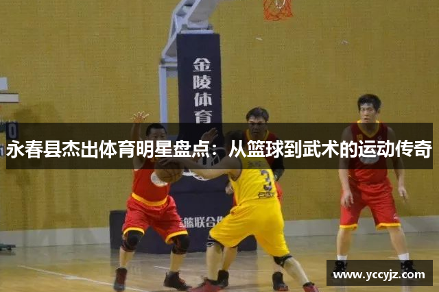 永春县杰出体育明星盘点：从篮球到武术的运动传奇