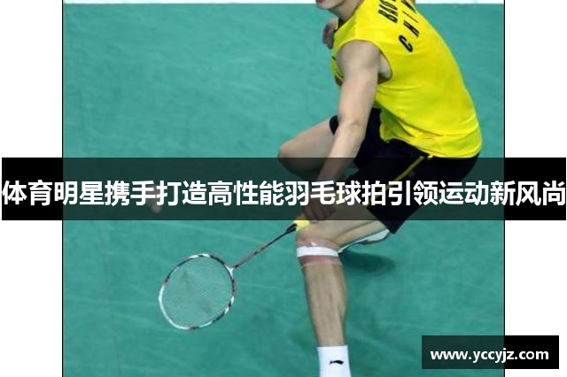 体育明星携手打造高性能羽毛球拍引领运动新风尚